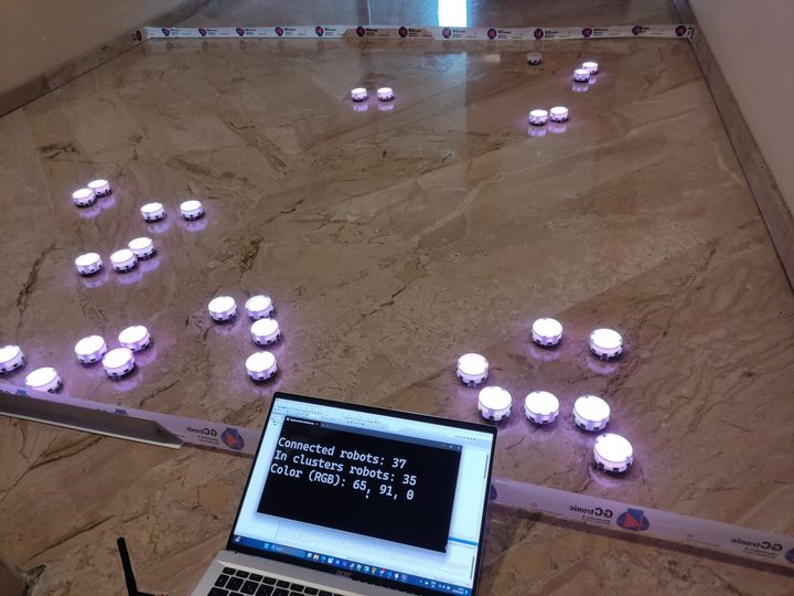 A swarm of Elisa-3 robots